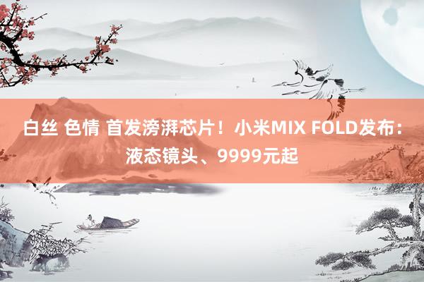 白丝 色情 首发滂湃芯片！小米MIX FOLD发布：液态镜头、9999元起