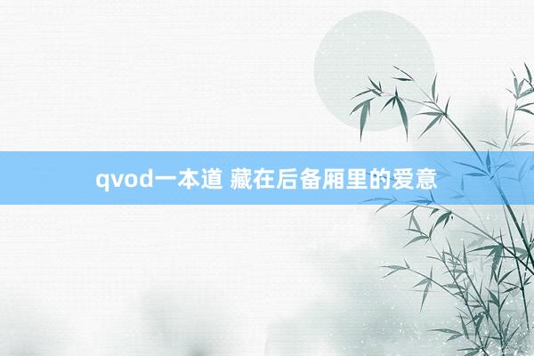 qvod一本道 藏在后备厢里的爱意