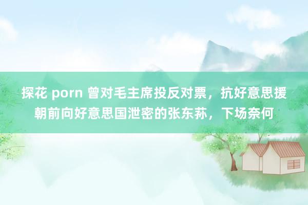 探花 porn 曾对毛主席投反对票，抗好意思援朝前向好意思国泄密的张东荪，下场奈何