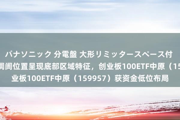 パナソニック 分電盤 大形リミッタースペース付 露出・半埋込両用形 阛阓位置呈现底部区域特征，创业板100ETF中原（159957）获资金低位布局