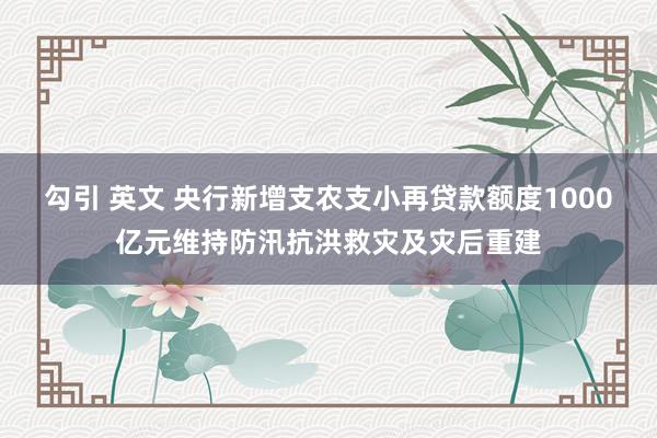 勾引 英文 央行新增支农支小再贷款额度1000亿元维持防汛抗洪救灾及灾后重建