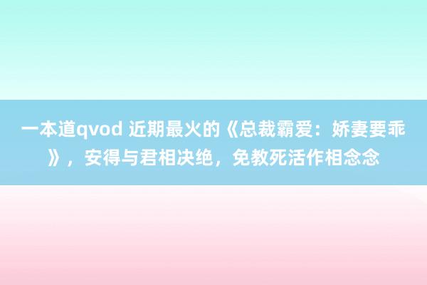 一本道qvod 近期最火的《总裁霸爱：娇妻要乖》，安得与君相决绝，免教死活作相念念