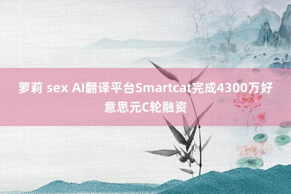 萝莉 sex AI翻译平台Smartcat完成4300万好意思元C轮融资