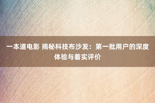 一本道电影 揭秘科技布沙发：第一批用户的深度体验与着实评价