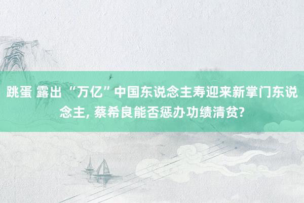 跳蛋 露出 “万亿”中国东说念主寿迎来新掌门东说念主， 蔡希良能否惩办功绩清贫?