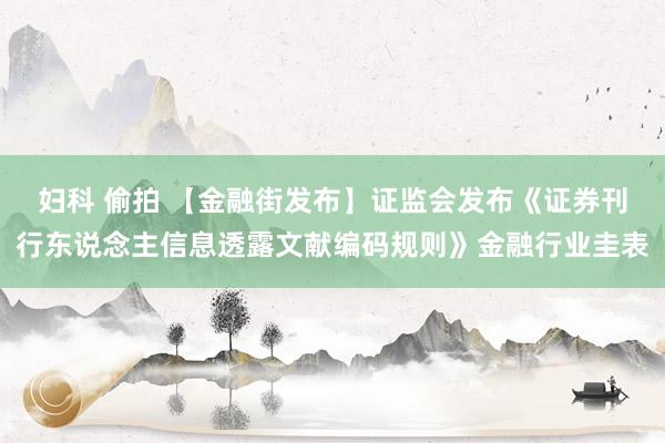 妇科 偷拍 【金融街发布】证监会发布《证券刊行东说念主信息透露文献编码规则》金融行业圭表