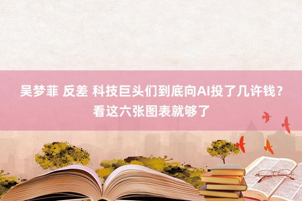 吴梦菲 反差 科技巨头们到底向AI投了几许钱？看这六张图表就够了