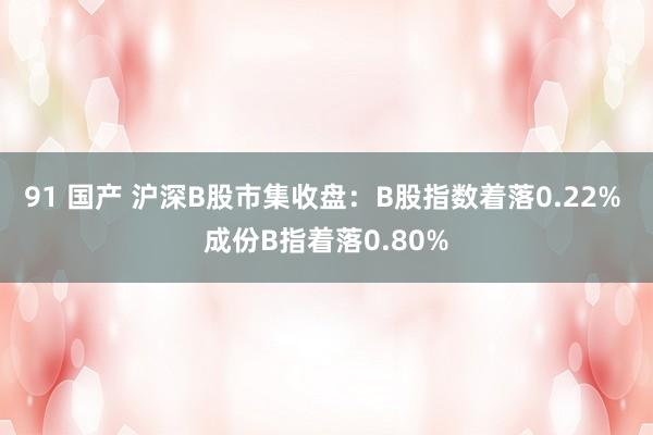 91 国产 沪深B股市集收盘：B股指数着落0.22% 成份B指着落0.80%