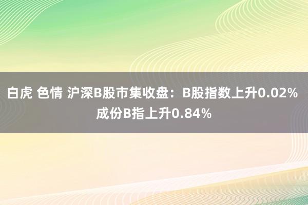 白虎 色情 沪深B股市集收盘：B股指数上升0.02% 成份B指上升0.84%