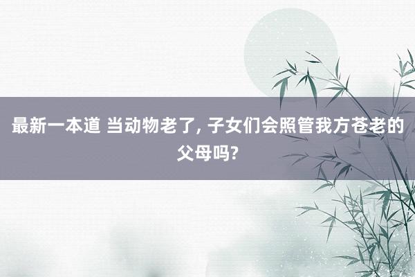 最新一本道 当动物老了, 子女们会照管我方苍老的父母吗?