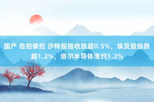 国产 自拍偷拍 沙特股指收跌超0.5%，埃及股指跌超1.2%，塔尔半导体涨约1.2%