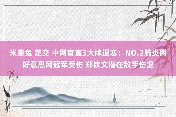 米菲兔 足交 中网官宣3大牌退赛：NO.2肺炎两好意思网冠军受伤 郑钦文潜在敌手伤退