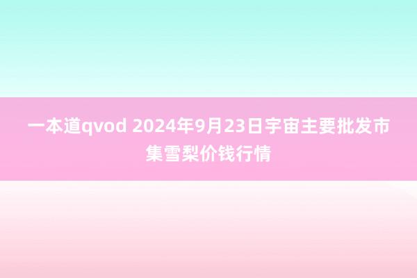 一本道qvod 2024年9月23日宇宙主要批发市集雪梨价钱行情