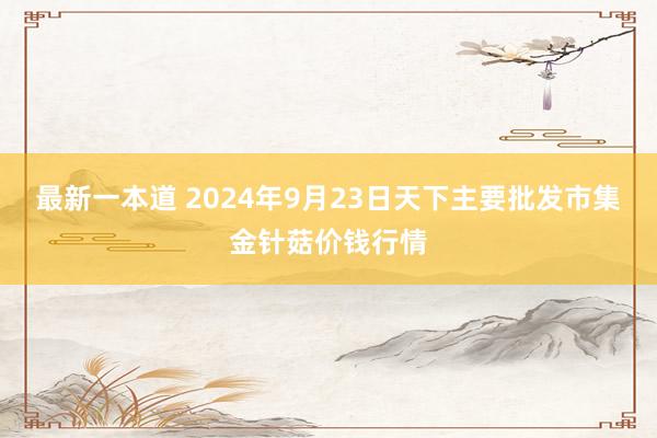 最新一本道 2024年9月23日天下主要批发市集金针菇价钱行情