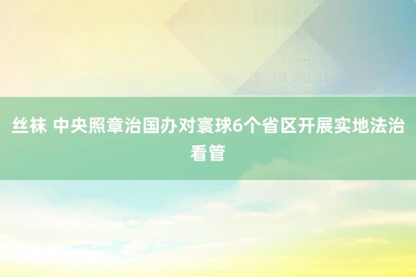 丝袜 中央照章治国办对寰球6个省区开展实地法治看管