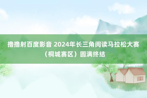 撸撸射百度影音 2024年长三角阅读马拉松大赛（桐城赛区）圆满终结