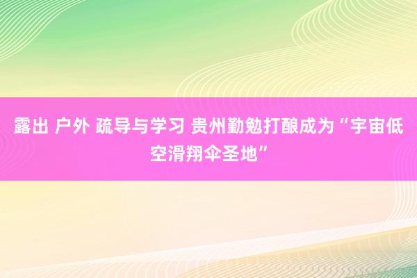 露出 户外 疏导与学习 贵州勤勉打酿成为“宇宙低空滑翔伞圣地”