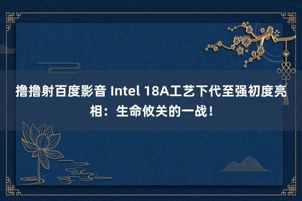 撸撸射百度影音 Intel 18A工艺下代至强初度亮相：生命攸关的一战！