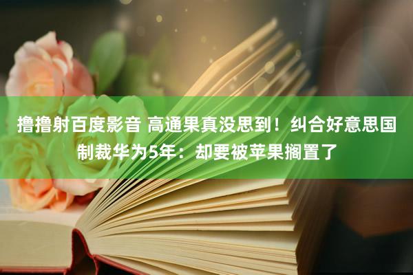 撸撸射百度影音 高通果真没思到！纠合好意思国制裁华为5年：却要被苹果搁置了