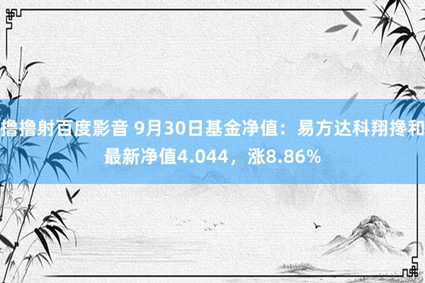 撸撸射百度影音 9月30日基金净值：易方达科翔搀和最新净值4.044，涨8.86%