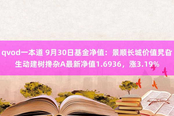 qvod一本道 9月30日基金净值：景顺长城价值旯旮生动建树搀杂A最新净值1.6936，涨3.19%