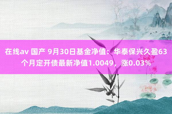 在线av 国产 9月30日基金净值：华泰保兴久盈63个月定开债最新净值1.0049，涨0.03%