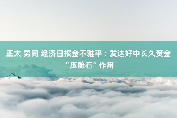 正太 男同 经济日报金不雅平 : 发达好中长久资金“压舱石”作用