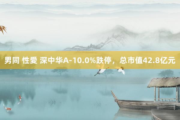 男同 性愛 深中华A-10.0%跌停，总市值42.8亿元