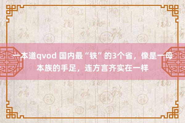 一本道qvod 国内最“铁”的3个省，像是一母本族的手足，连方言齐实在一样