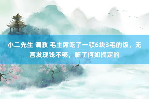 小二先生 调教 毛主席吃了一顿6块3毛的饭，无言发现钱不够，临了何如搞定的