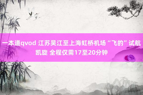 一本道qvod 江苏吴江至上海虹桥机场“飞的”试航凯旋 全程仅需17至20分钟