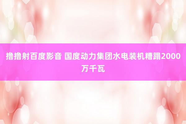 撸撸射百度影音 国度动力集团水电装机糟蹋2000万千瓦