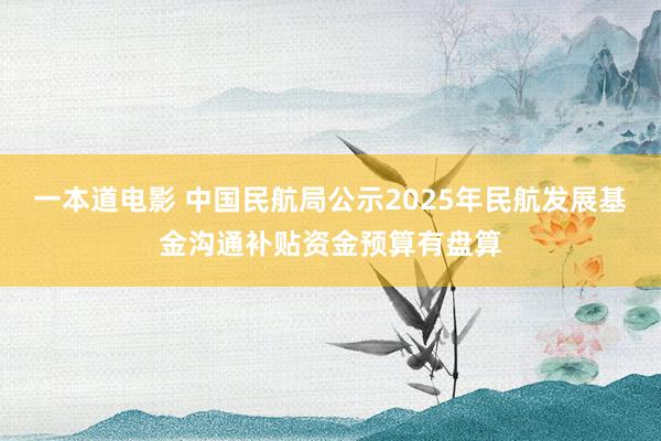 一本道电影 中国民航局公示2025年民航发展基金沟通补贴资金预算有盘算