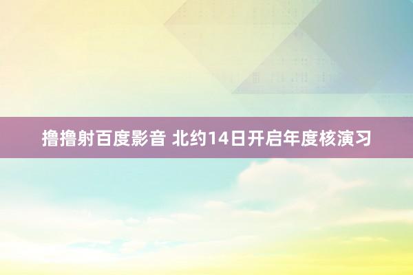 撸撸射百度影音 北约14日开启年度核演习