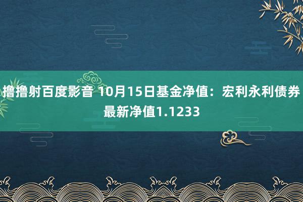 撸撸射百度影音 10月15日基金净值：宏利永利债券最新净值1.1233