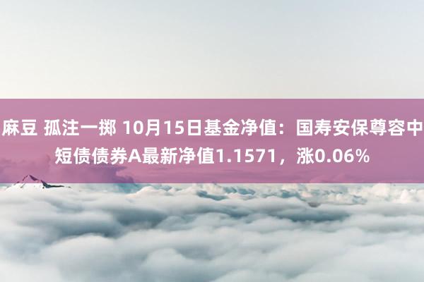 麻豆 孤注一掷 10月15日基金净值：国寿安保尊容中短债债券A最新净值1.1571，涨0.06%