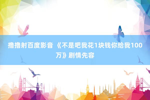 撸撸射百度影音 《不是吧我花1块钱你给我100万》剧情先容