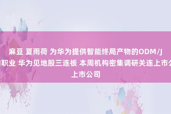 麻豆 夏雨荷 为华为提供智能终局产物的ODM/JDM职业 华为见地股三连板 本周机构密集调研关连上市公司