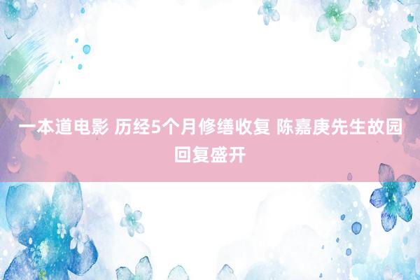 一本道电影 历经5个月修缮收复 陈嘉庚先生故园回复盛开