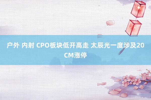 户外 内射 CPO板块低开高走 太辰光一度涉及20CM涨停