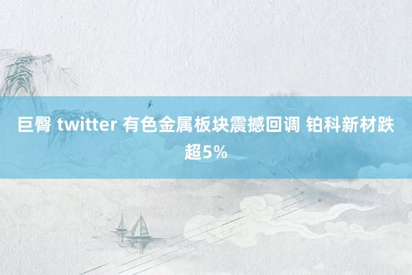 巨臀 twitter 有色金属板块震撼回调 铂科新材跌超5%