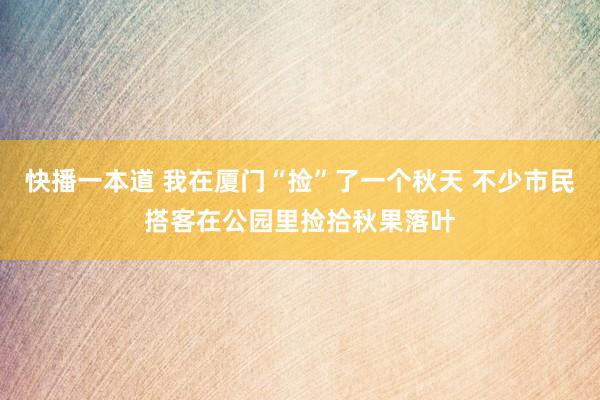 快播一本道 我在厦门“捡”了一个秋天 不少市民搭客在公园里捡拾秋果落叶