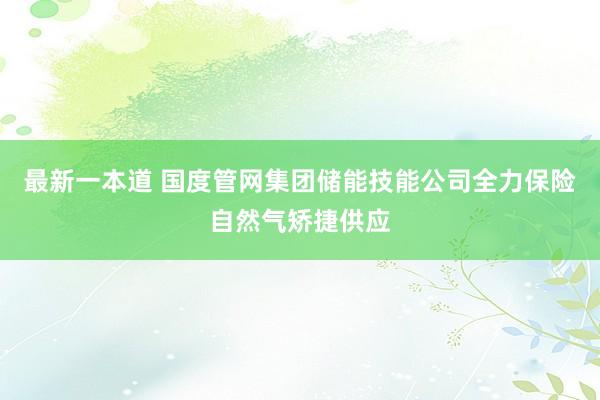 最新一本道 国度管网集团储能技能公司全力保险自然气矫捷供应