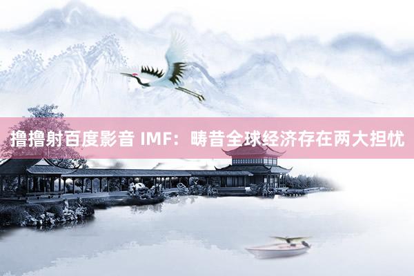 撸撸射百度影音 IMF：畴昔全球经济存在两大担忧