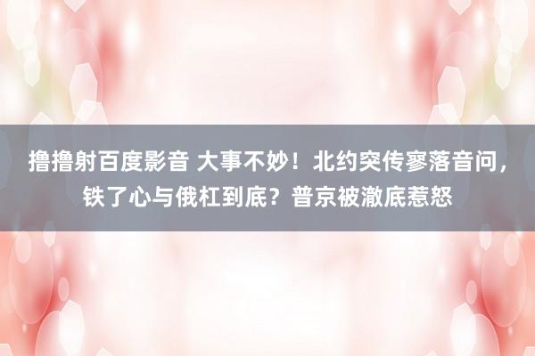 撸撸射百度影音 大事不妙！北约突传寥落音问，铁了心与俄杠到底？普京被澈底惹怒