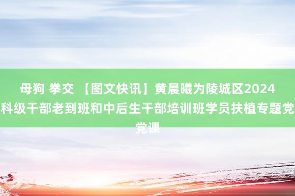 母狗 拳交 【图文快讯】黄晨曦为陵城区2024年科级干部老到班和中后生干部培训班学员扶植专题党课