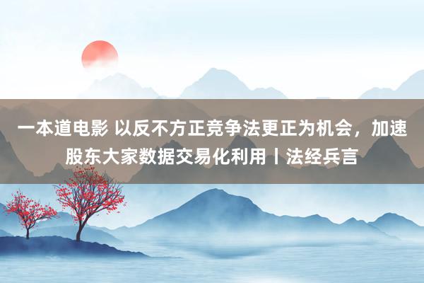 一本道电影 以反不方正竞争法更正为机会，加速股东大家数据交易化利用丨法经兵言