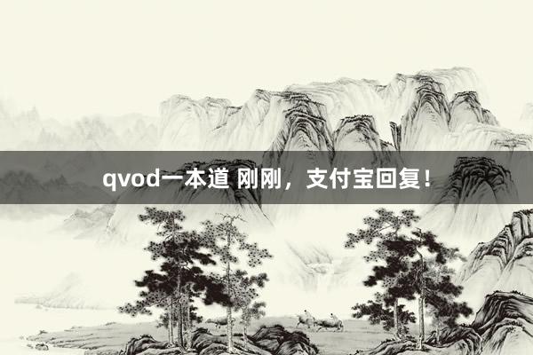 qvod一本道 刚刚，支付宝回复！