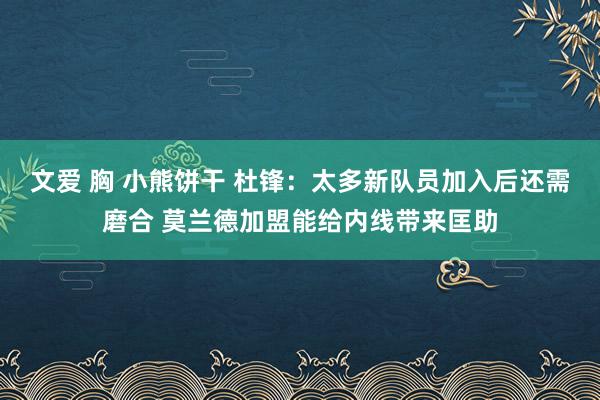 文爱 胸 小熊饼干 杜锋：太多新队员加入后还需磨合 莫兰德加盟能给内线带来匡助