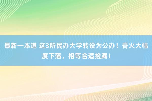 最新一本道 这3所民办大学转设为公办！膏火大幅度下落，相等合适捡漏！